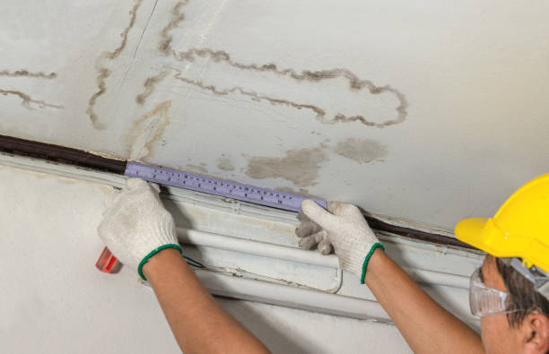 Reliable Water Damage contractor in Laingsburg, MI by Water Damage Irwin